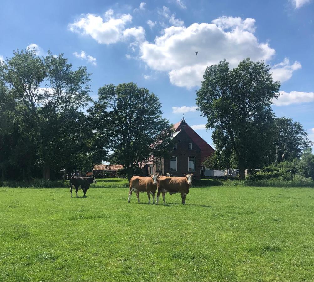 Appartementen verhuur De Trijehoek Stiens Buitenkant foto